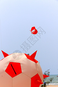 蓝色天空中多彩的风筝 享受 阳光 乐趣 公园 航班图片