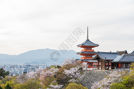 春天的基约米祖德拉寺庙 宗教 日本人 建筑 世界 宝塔图片