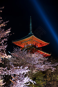 清水祖寺庙 春天亮光 神社 旅行 旅游 城市 日本图片