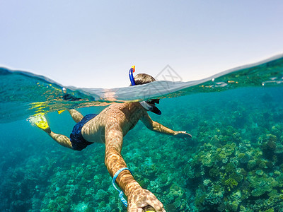 在埃及红海浅水中潜泳 野生动物 多于 蓝色的 假期图片