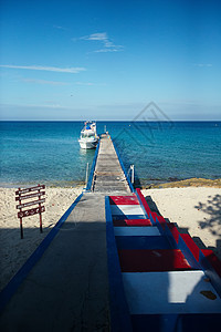 有棕榈和白沙的热带海滩 古巴 假期 海洋 夏天 美丽的图片