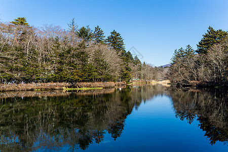 湖 季节 石头 丛林 白天 长野 水 冬天 池塘 美丽的图片