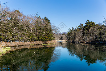 湖 干草 反射 蓝色的 云 公园 天空 白天图片