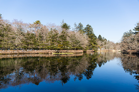 冬季河 土地 蓝色的 农村 水 环境 草地 旅行 天气 季节图片