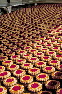 制作饼干饼 植物 制造业 面包店 美食 面团 糕点 生产 运输车图片
