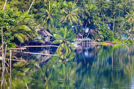 Koh Kood 度假村 植物 热的 宁静 热带图片