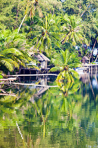 Koh Kood 度假村 太阳 风景 放松 天堂图片