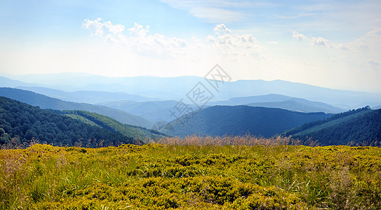 日落的山地风景 植物群 假期 天空 木头 春天 花 生态图片