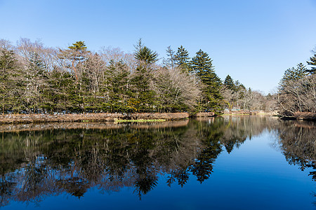 甲井泽湖 夏天 户外的 水 自然 日本 冬天 河图片