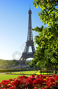 花和埃菲尔铁塔 建筑 树木 公园 欧洲 天空 建筑学 太阳图片