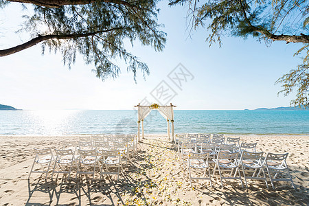 简单风格的婚礼拱门和装饰 地点 热带设置 自然 海图片