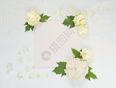 白花的剪贴页面 专辑 婚礼 树叶 纸 木制的 书 剪贴簿图片