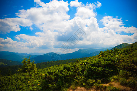 山地的夏月风景和有云的深蓝天空 木头 自然 旅游图片