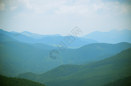 乌克兰 雾和云 山地山谷景观 季节 春天图片