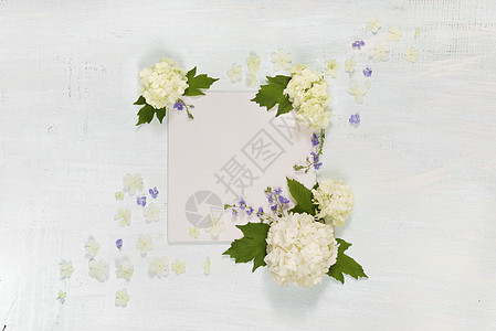 白花和蓝花的剪贴页 假期 绣球花 复古的 摄影背景图片
