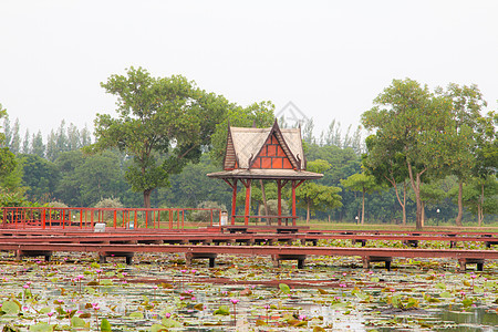 泰国展馆 旅行 水 地标 建造 假期 场景图片