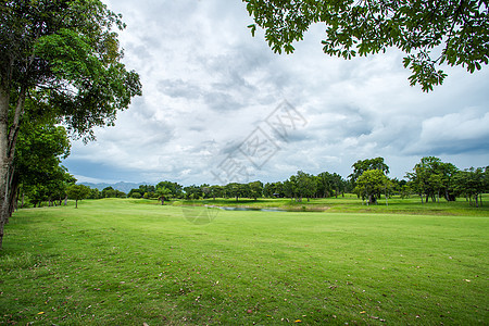 高尔夫球场 草地 球道 草 俱乐部 宁静 地面图片