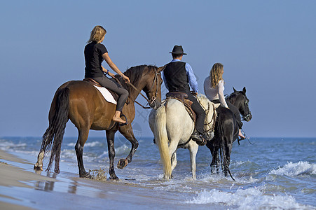 海上骑马者 慢跑 白色的 宠物 牛仔 帽子 假期 游泳图片