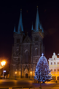 圣诞树 灯 照明 季节 欧洲 城市 冷杉图片