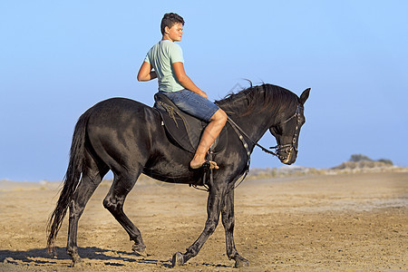海滩上的年轻骑手 年轻的 骑术 宠物 孩子 幸福图片