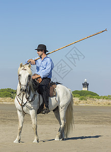 海滩上的牧畜人 动物 幸福 骑手 家畜 训练 牧人图片