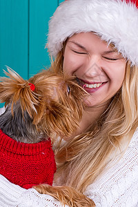 穿着红毛衣的雅琪狗穿红色毛衣 约克郡 圣诞节 衣服图片