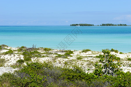 古巴海滩 假期 旅游 寂寞 植物 夏天 美丽的 吉列尔莫图片