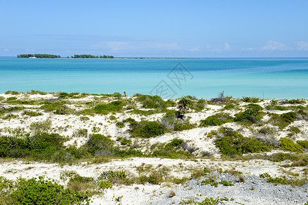 古巴海滩 植物 卡约 旅行 夏天 自然 场景 沙丘图片