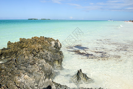 古巴海滩 绿色的 旅行 吉列尔莫 夏天 寂寞 场景图片