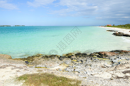 古巴海滩 偏僻的 寂寞 夏天 绿色的 天空 海洋 蓝色的 海岸图片
