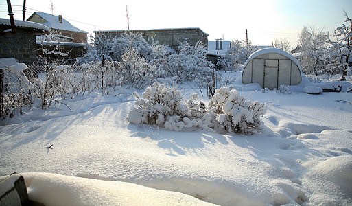 埋在雪中的家庭花园 乌拉尔冬天的风景 覆盖图片