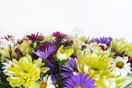 带菊花的花束和白底木柱上的树枝 花瓶 花瓣 夏天图片