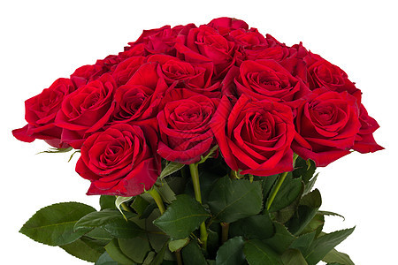 新鲜情人节红玫瑰的一束新鲜花 花束 庆典 浪漫图片