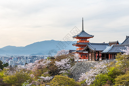 春天的基约米祖德拉寺庙 世界 清水寺 假期 宝塔 树叶图片