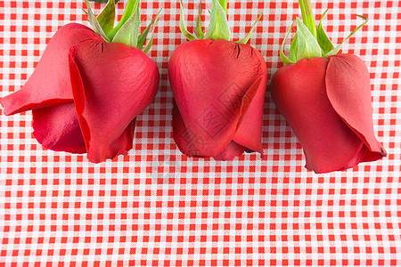 红玫瑰情人节画面 庆典 糖果 复古的 丝绸 假期 问候语图片