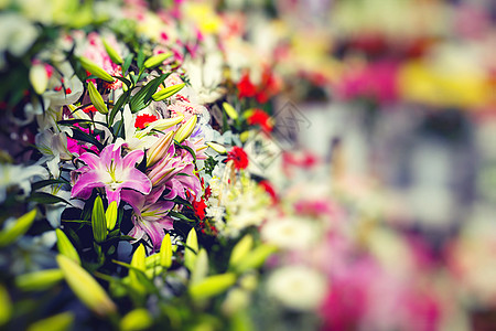 拉脱维亚里加的鲜花市场 季节 花的 自然 花瓣 天图片