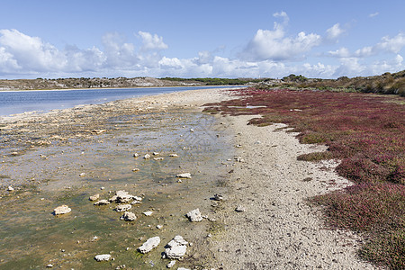 澳斯特拉利罗特涅斯特岛海滩之一的景象 岩石图片
