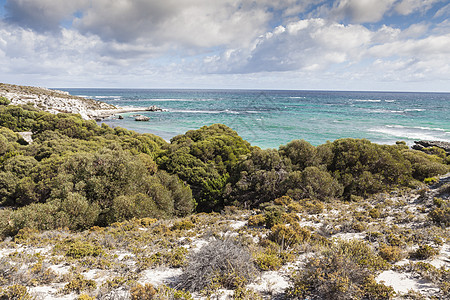 澳斯特拉利罗特涅斯特岛海滩之一的景象 岩石图片