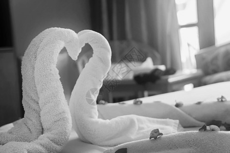 黑白两边的毛巾中扭曲的心 浪漫 美丽 鸟 花图片