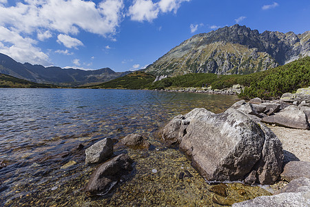 塔特拉高山5湖谷的夏季 欧洲 夏天 树图片