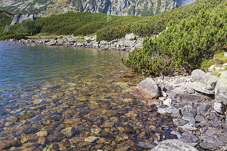 塔特拉高山5湖谷的夏季 波兰 扎科帕内 欧洲 春天 晴天图片