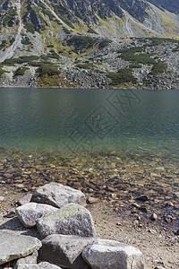 塔特拉高山5湖谷的夏季 湖泊 树 斯洛伐克图片