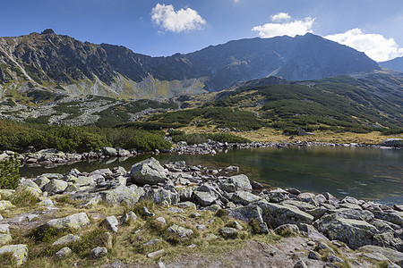 塔特拉高山5湖谷的夏季 自然 农村 高的 蓝色的图片