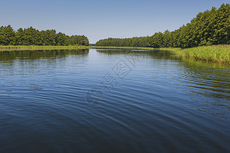 波兰马苏里亚的Wydminy湖 夏天 木头 天空图片