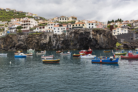 卡马拉·德洛沃斯是马德拉中南部海岸的一个城市 鱼 葡萄牙图片