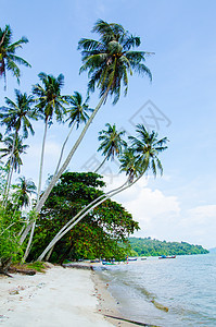 马来西亚热带海滩 有水晶明海 全景 船 异国情调图片