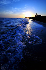 蓝色日落 本田 太阳 海滩 海洋 旅行 佛罗里达图片