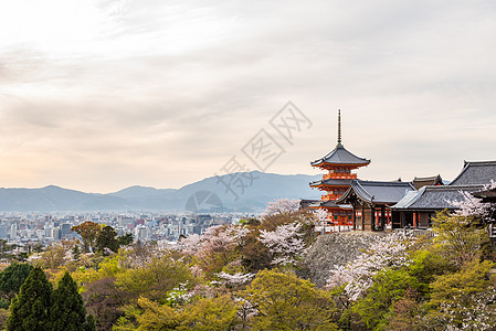 春天的基约米祖德拉寺庙 宝塔 建筑 旅游 首都 旅行图片