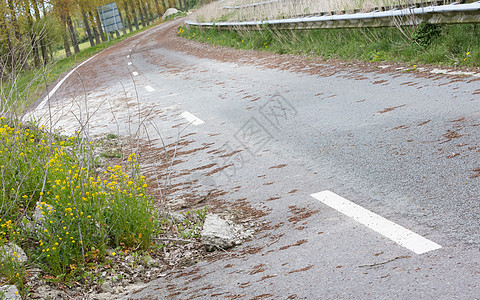 荷兰被废弃的公路 荷兰 白色的 杂草 孤独 杂草丛生图片
