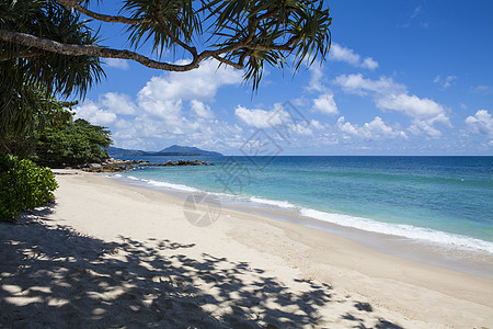 普吉安达曼海的热带海滩风景 海岸线 水 棕榈 椰子图片